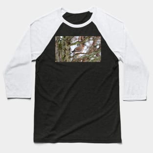 Mourning Dove Perched In a Tree Staring At The Camera In The Winter Baseball T-Shirt